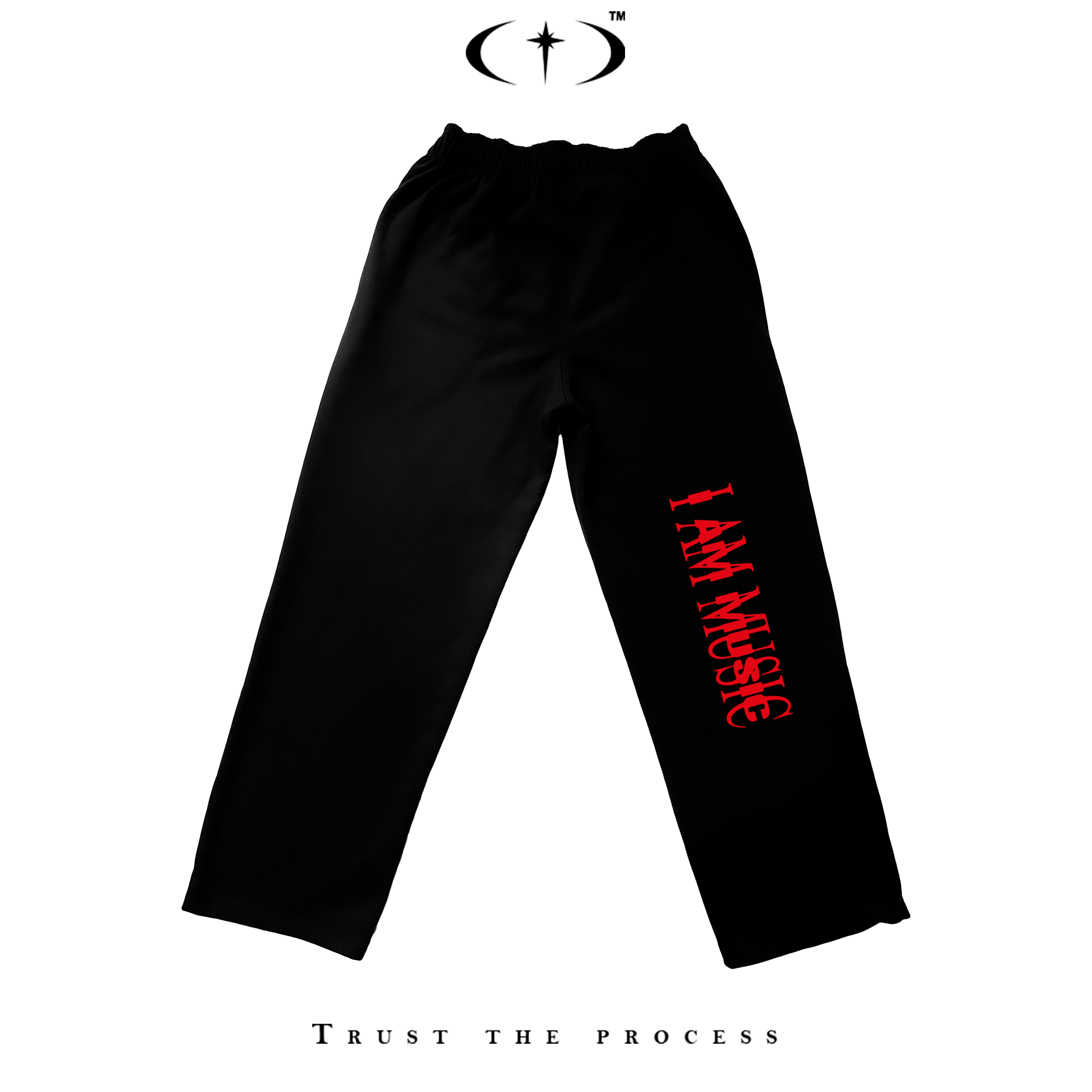 I Am Music Baggy Jogger Pants