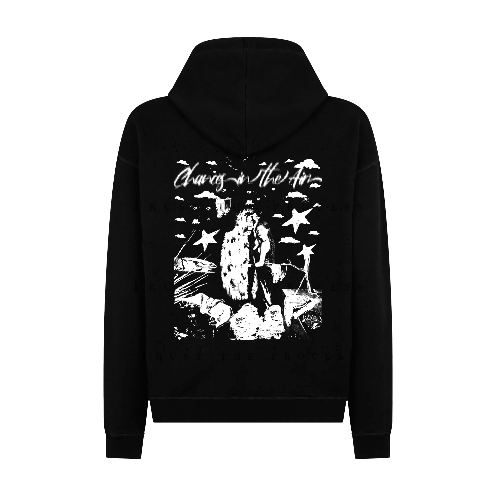 Chances in the Air Regular Fit Hoodie