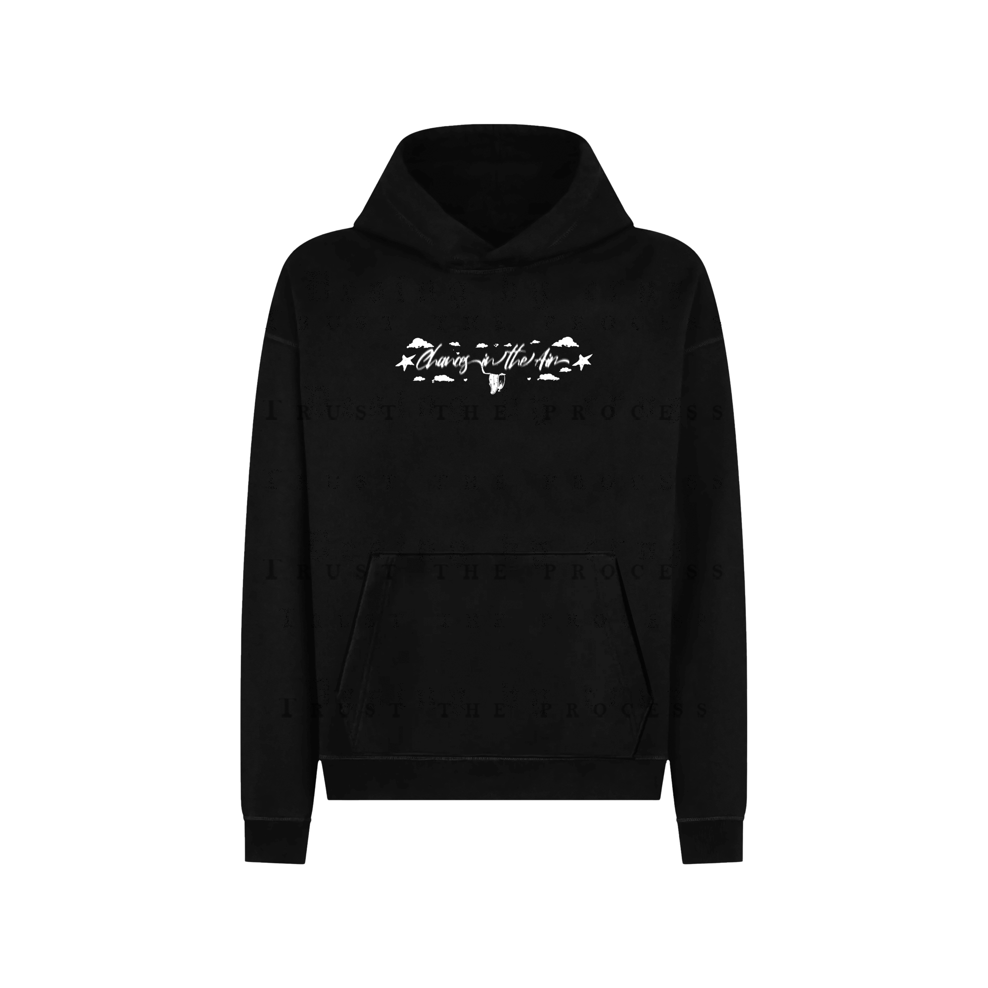 Chances in the Air Regular Fit Hoodie