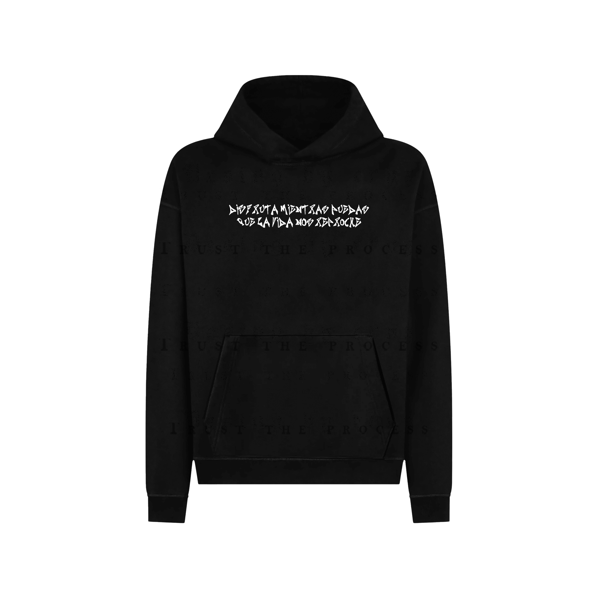 Huracán Regular Fit Hoodie