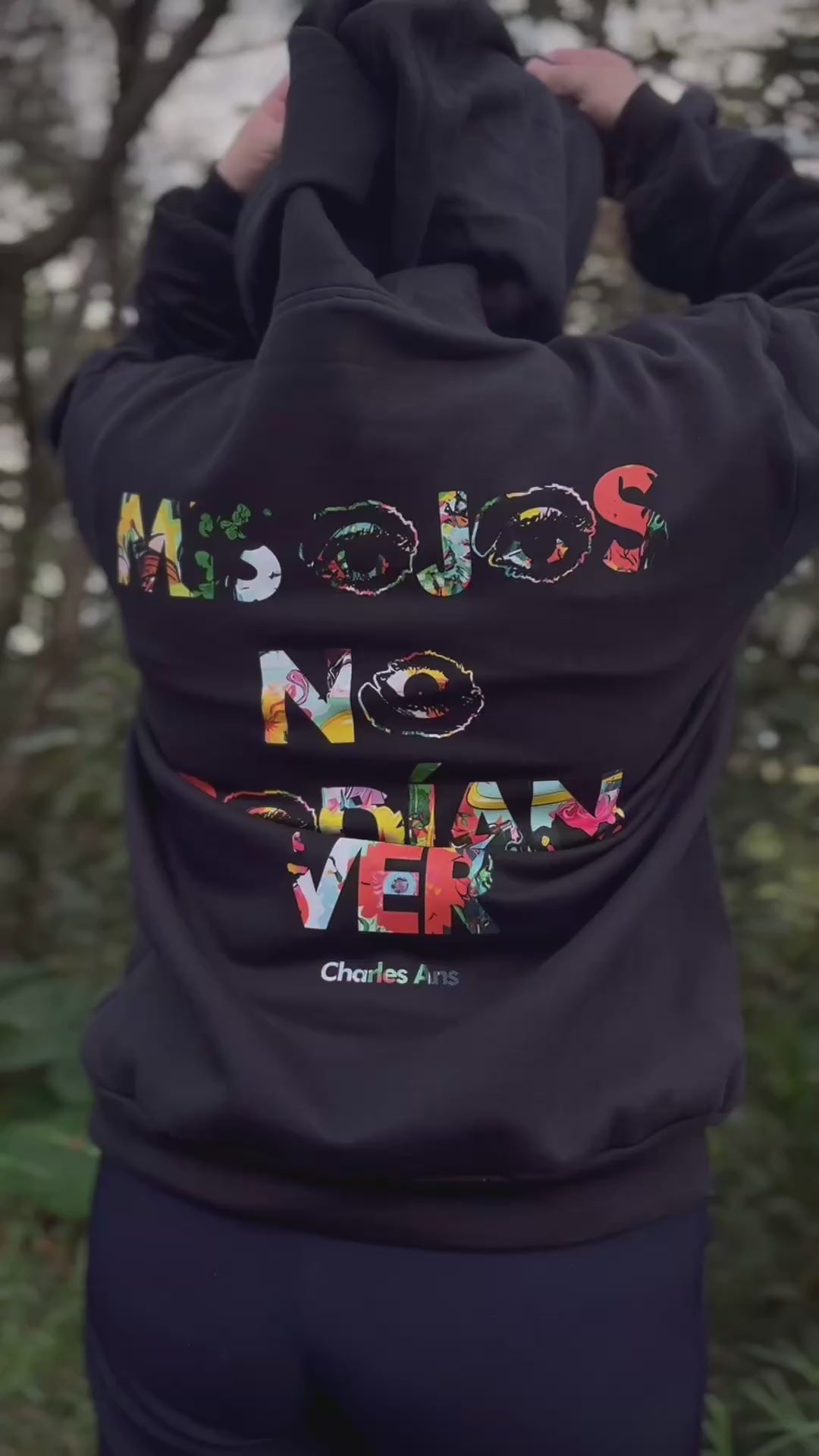 Mis Ojos No Podían Ver Texto Hoodie Regular Fit